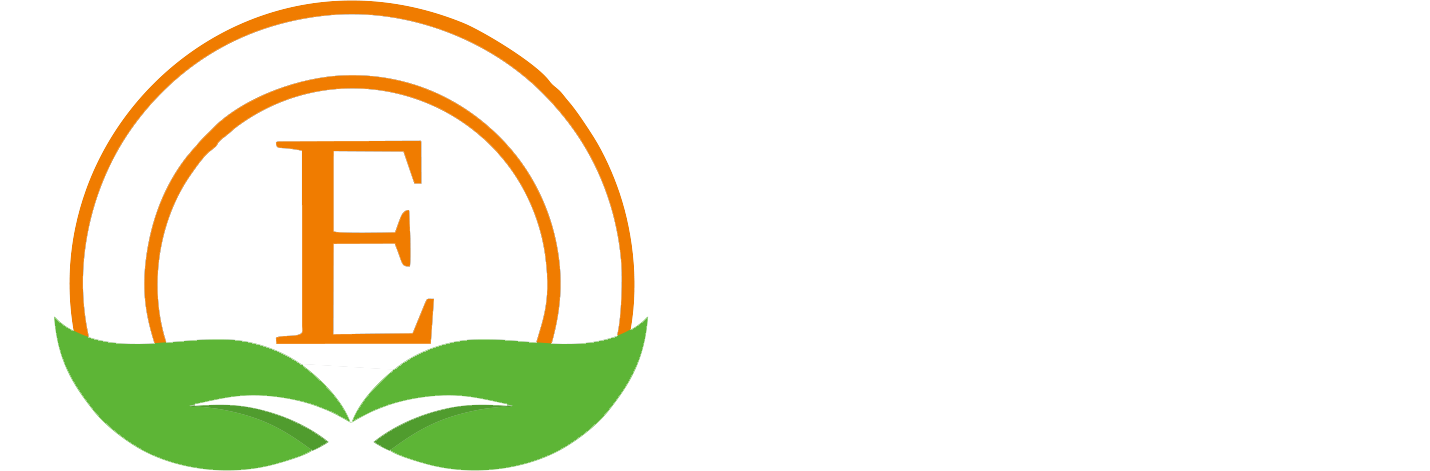 Elif Temizlik Hizmetleri Elif Temizlik Hizmetleri
